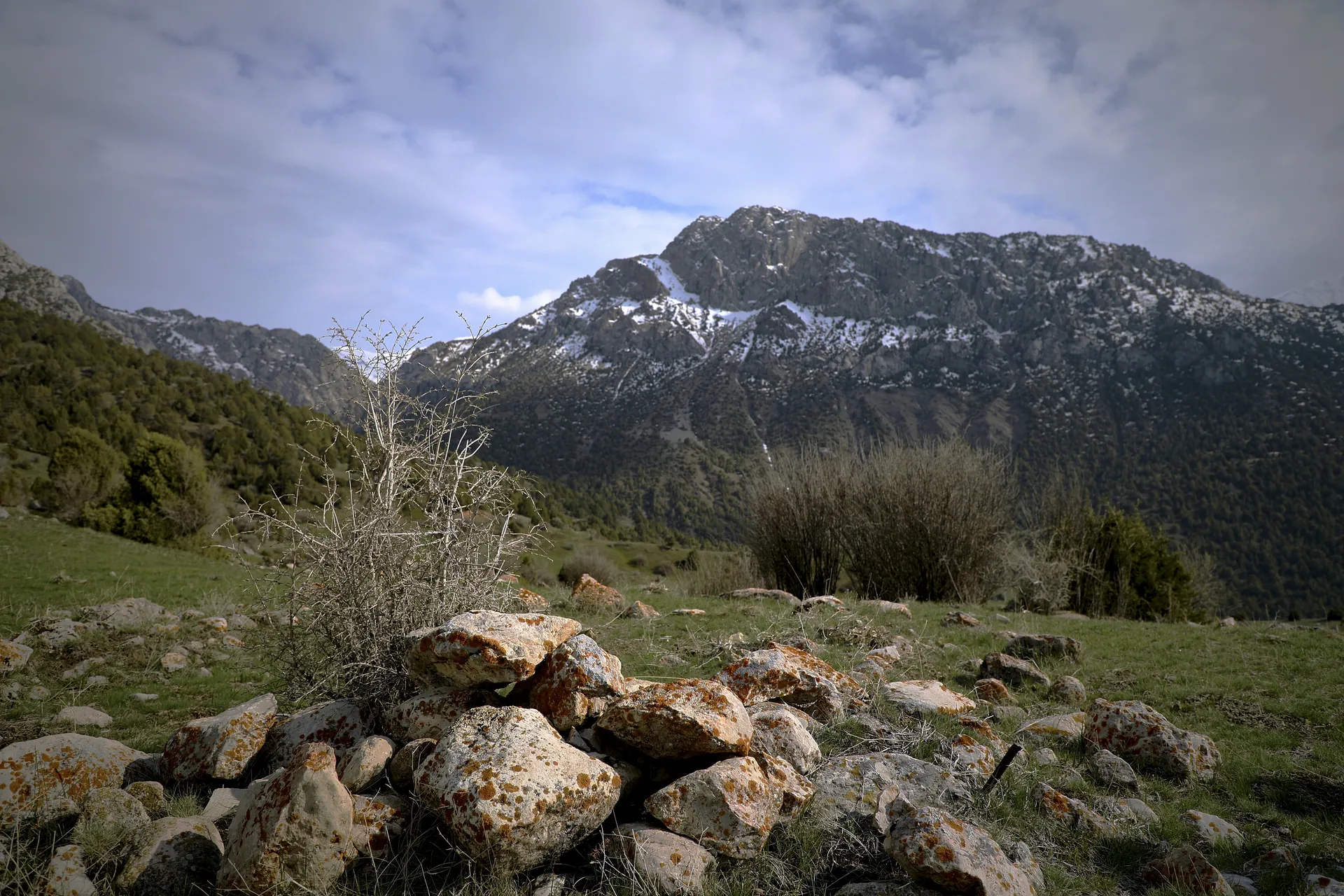 Zomin milliy tabiat bog‘i manzarasi