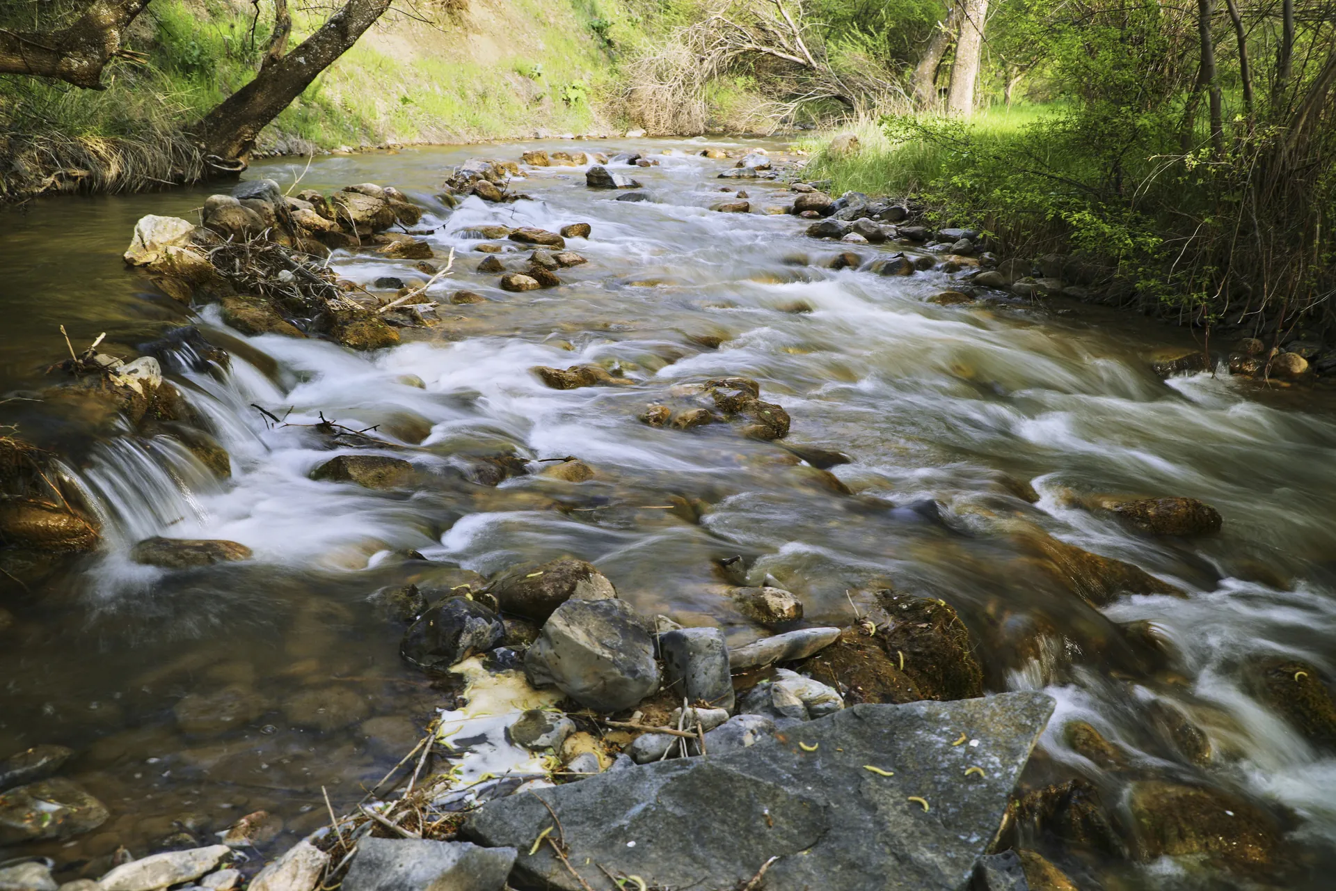 Zomin milliy tabiat bog‘i manzarasi