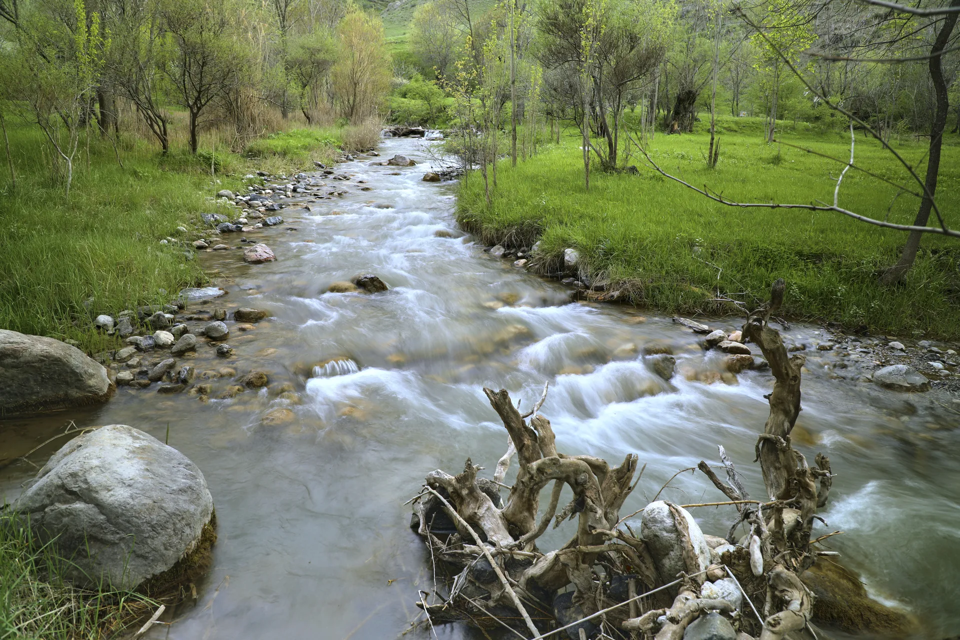 Zomin milliy tabiat bog‘i manzarasi