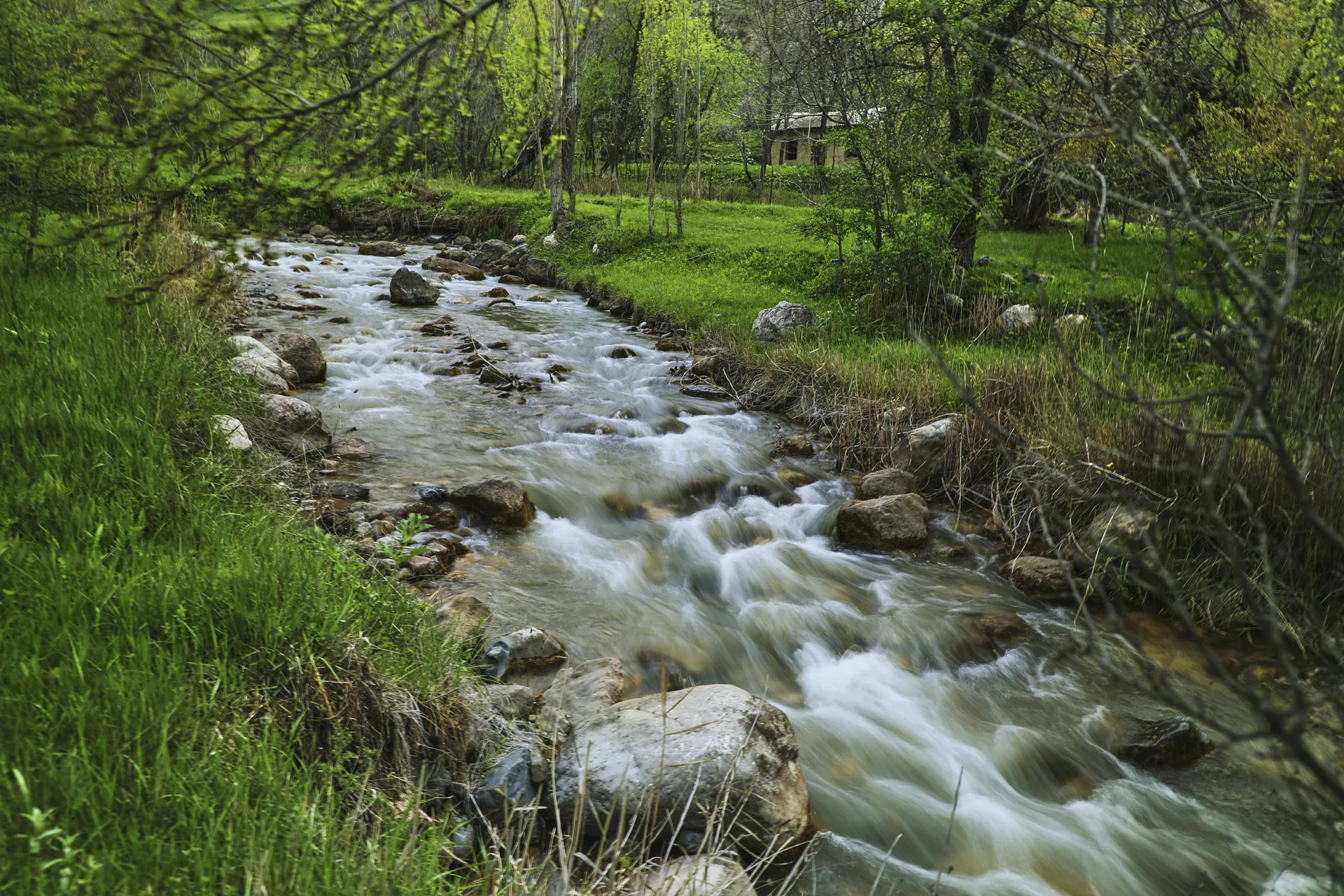 Zomin milliy tabiat bog‘i manzarasi